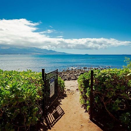 Stunning Maui Direct Ocean Front On The Beach, Walk To Beach From Condo, Watch Turtles, Whales, Ac In All Rooms Ocean View Pool And Spa Wailuku 外观 照片