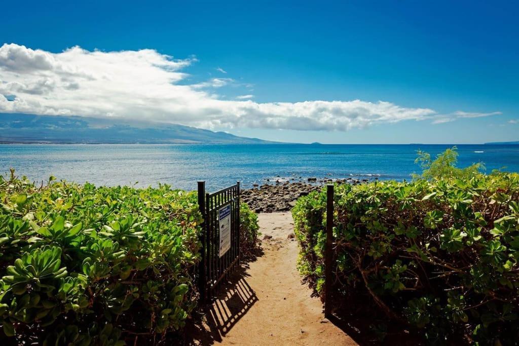 Stunning Maui Direct Ocean Front On The Beach, Walk To Beach From Condo, Watch Turtles, Whales, Ac In All Rooms Ocean View Pool And Spa Wailuku 外观 照片
